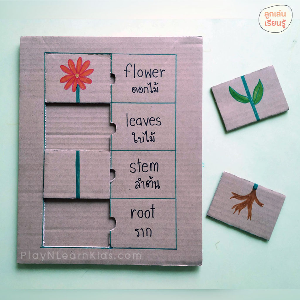 กิจกรรมเล่นกับลูก ธีมดอกไม้ ของเล่น ตัวต่อจิกซอว์ ส่วนประกอบของต้นไม้ ทำง่ายๆ จากกระดาษลัง